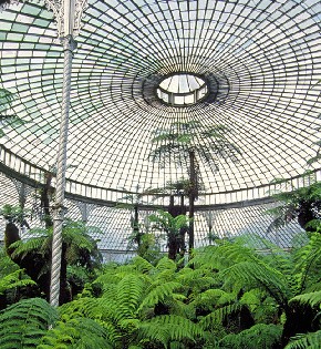 Botanic Gardens - Glasgow